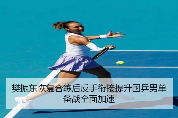 樊振东恢复合练后反手衔接提升国乒男单备战全面加速